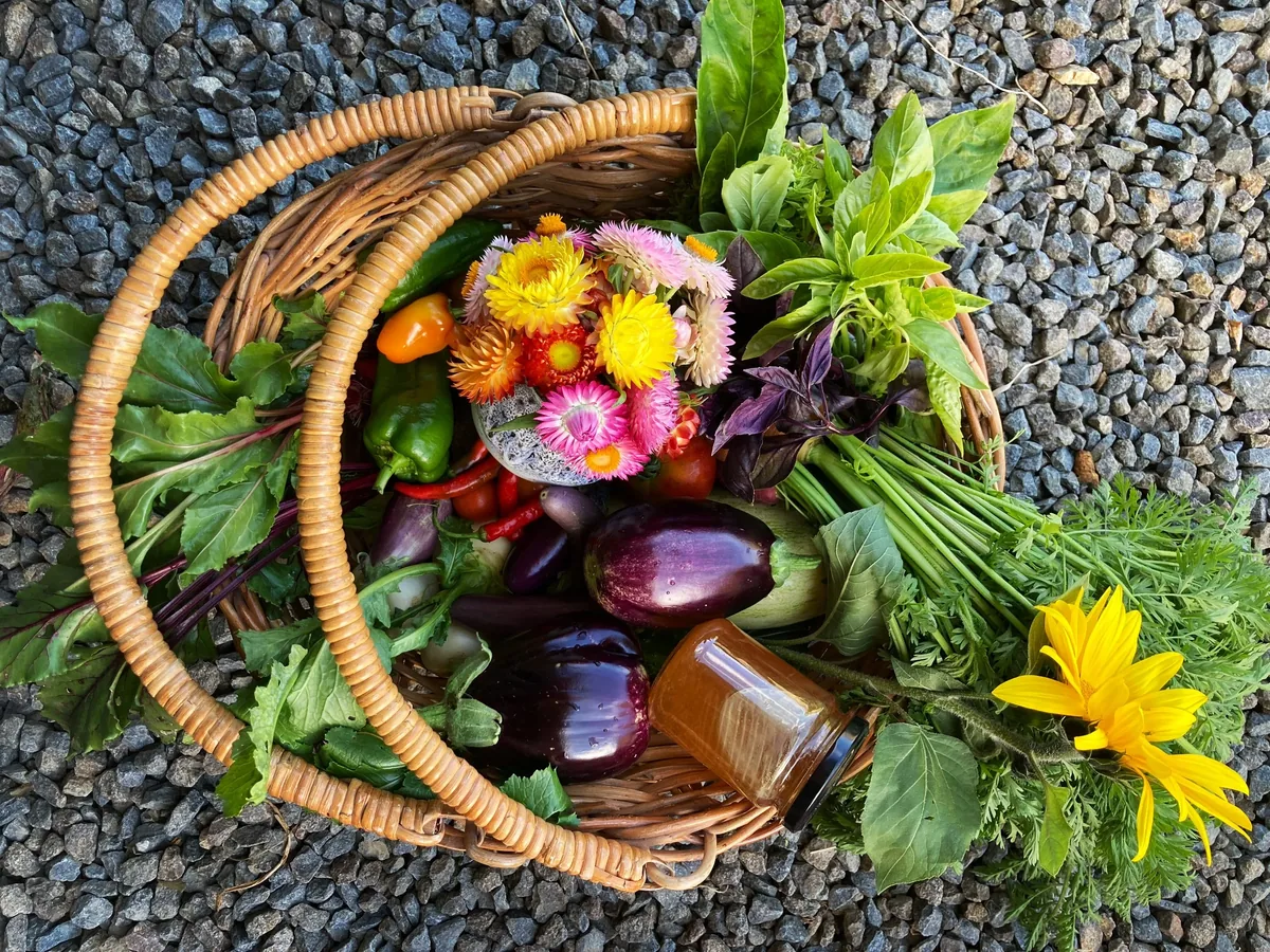 Gardners Bay Farm, Gardners Bay Tasmania