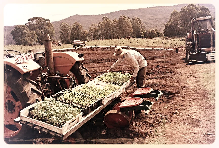 Seven Springs Farm, Lorinna Tasmania